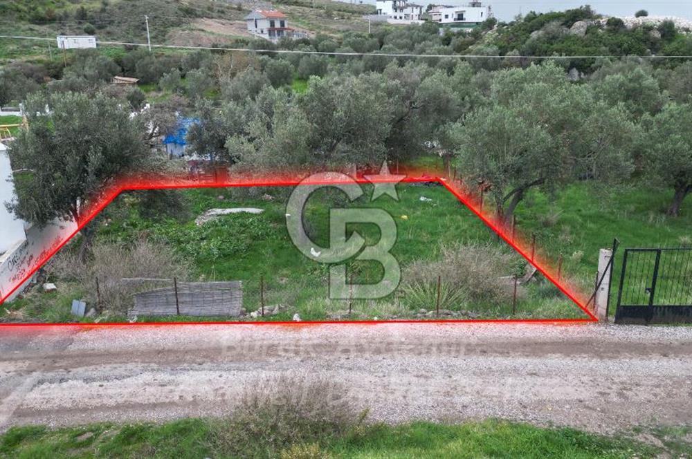 Dikili, Çandarlı’da 15/30 İmarlı 377 m2 Satılık Arsa