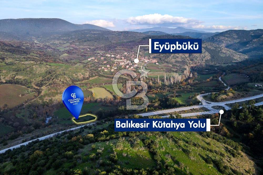 CB EAGLE'dan KEPSUT EYÜPBÜKÜN'DE 3.249 m² SATILIK TARLA