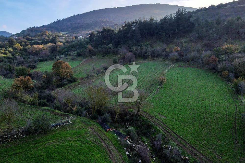 CB EAGLE'dan KEPSUT EYÜPBÜKÜN'DE 3.249 m² SATILIK TARLA