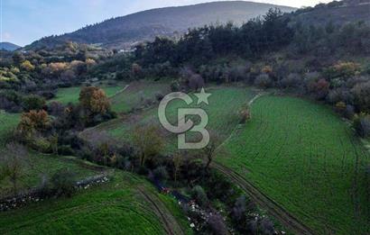 CB EAGLE'dan KEPSUT EYÜPBÜKÜN'DE 3.249 m² SATILIK TARLA