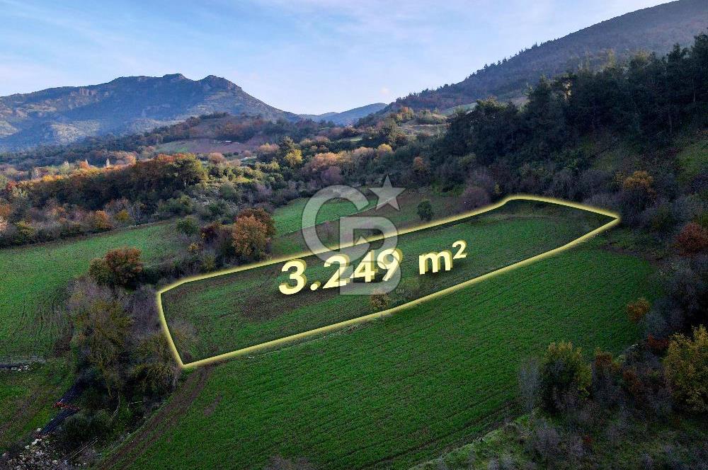 CB EAGLE'dan KEPSUT EYÜPBÜKÜN'DE 3.249 m² SATILIK TARLA