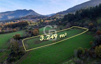 CB EAGLE'dan KEPSUT EYÜPBÜKÜN'DE 3.249 m² SATILIK TARLA