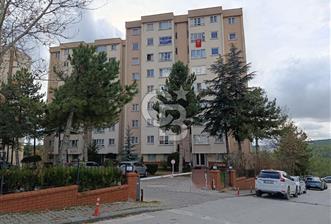 MAYA KOLEJİ YAKINA ATATÜRK SİTESİNDE ARA KATTA 3+1 KİRALIK DAİRE - 8 - 319059