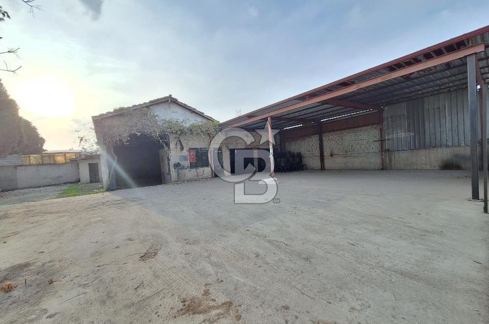 Balıkesir ALTIEYLÜL Merkez GÖKDENİZ CAD Kiralık İŞ YERİ