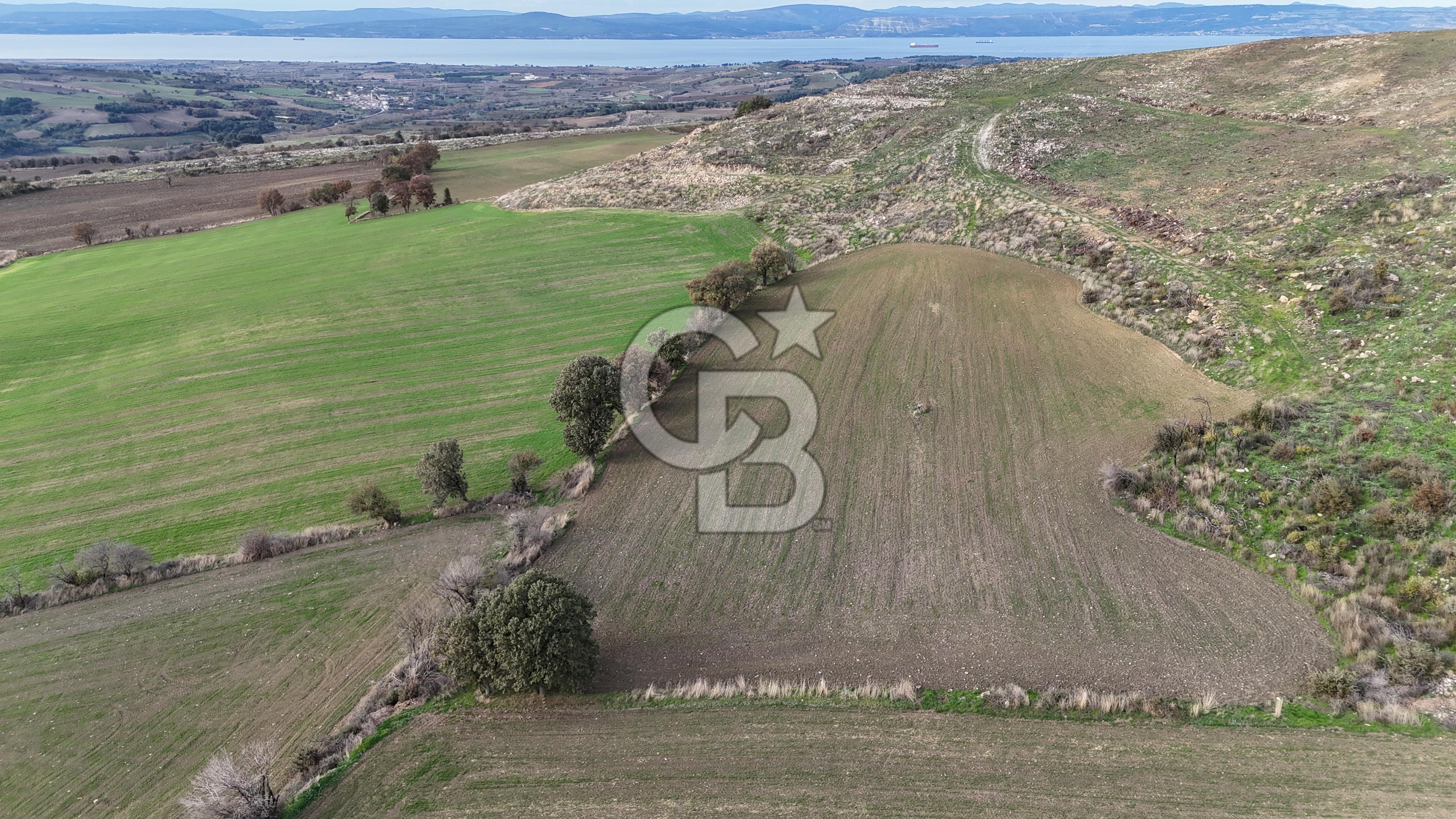 ÇANAKKALE, MERKEZ, YUKARIOKÇULAR SATILIK TARLA