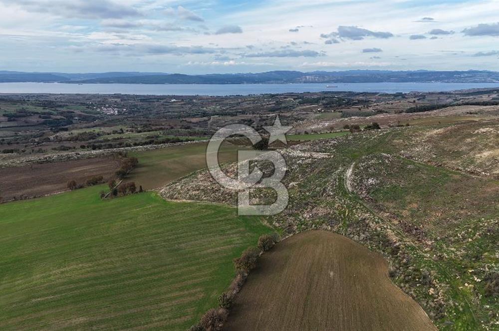 ÇANAKKALE, MERKEZ, YUKARIOKÇULAR SATILIK TARLA
