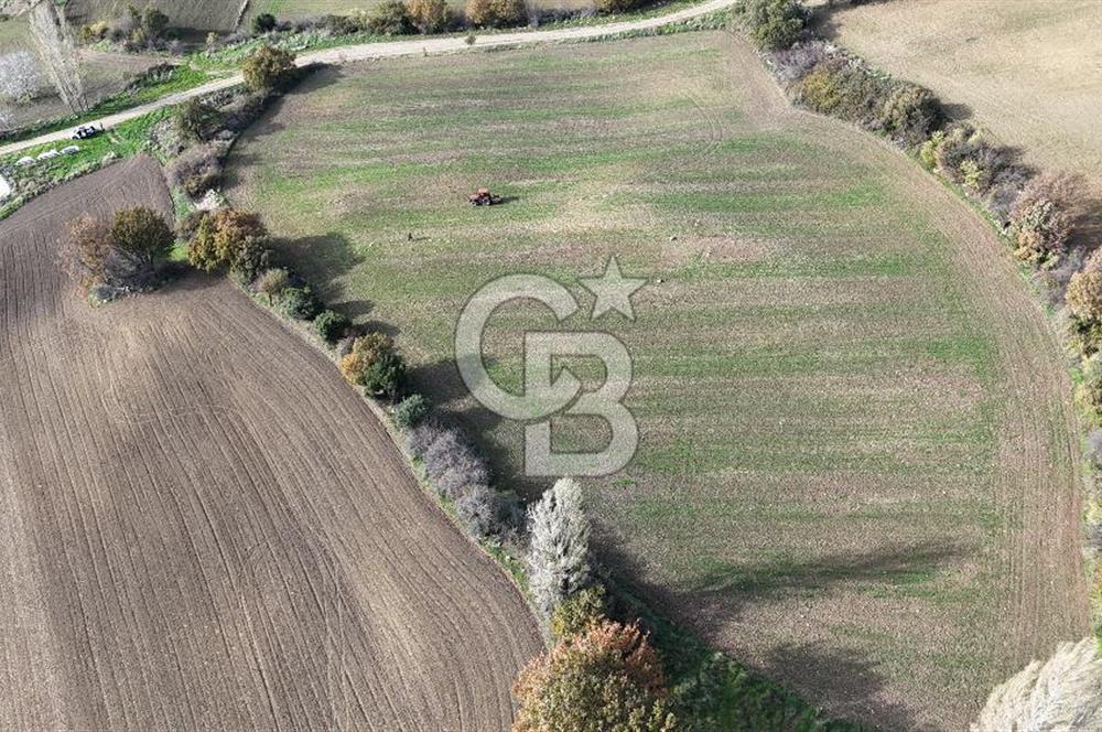 ÇANAKKALE, MERKEZ, YUKARIOKÇULAR SATILIK TARLA