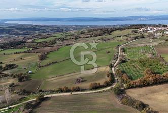 ÇANAKKALE, MERKEZ, YUKARIOKÇULAR SATILIK TARLA - 10 - 319034