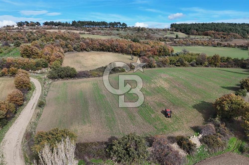 ÇANAKKALE, MERKEZ, YUKARIOKÇULAR SATILIK TARLA