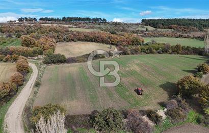 ÇANAKKALE, MERKEZ, YUKARIOKÇULAR SATILIK TARLA