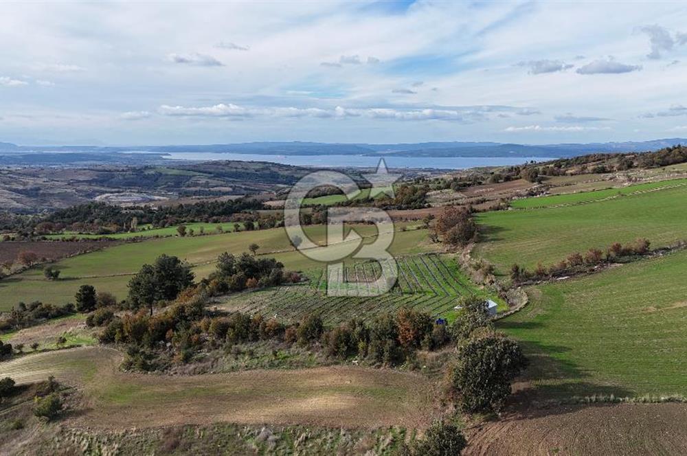 ÇANAKKALE, MERKEZ, YUKARIOKÇULAR SATILIK TARLA