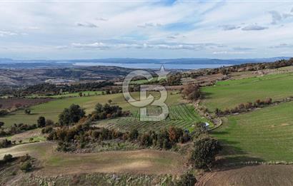 ÇANAKKALE, MERKEZ, YUKARIOKÇULAR SATILIK TARLA