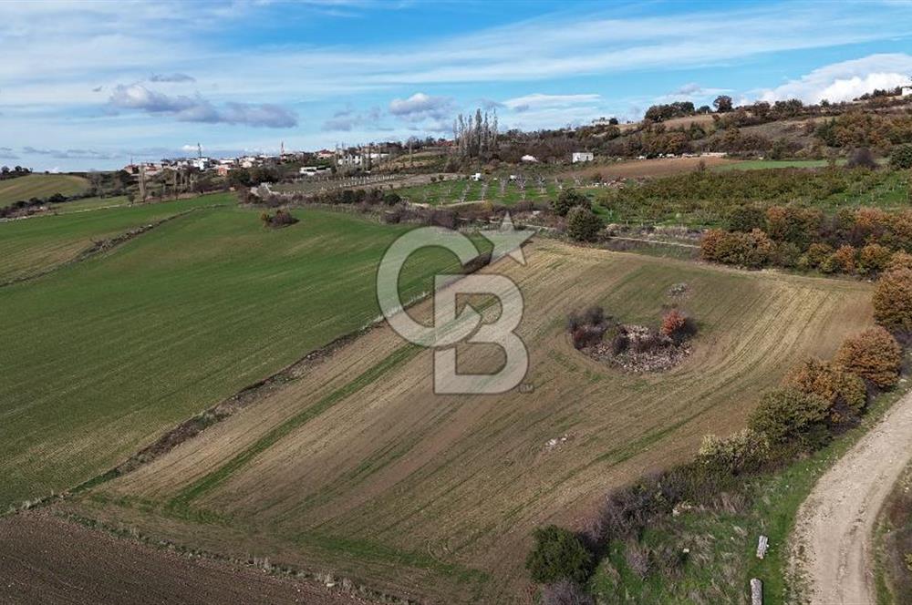 ÇANAKKALE, MERKEZ, YUKARIOKÇULAR SATILIK TARLA