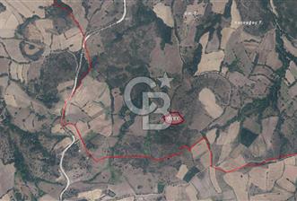 ÇANAKKALE, LAPSEKİ, BEYPINAR SATILIK TARLA - 9 - 319052