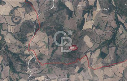 ÇANAKKALE, LAPSEKİ, BEYPINAR SATILIK TARLA