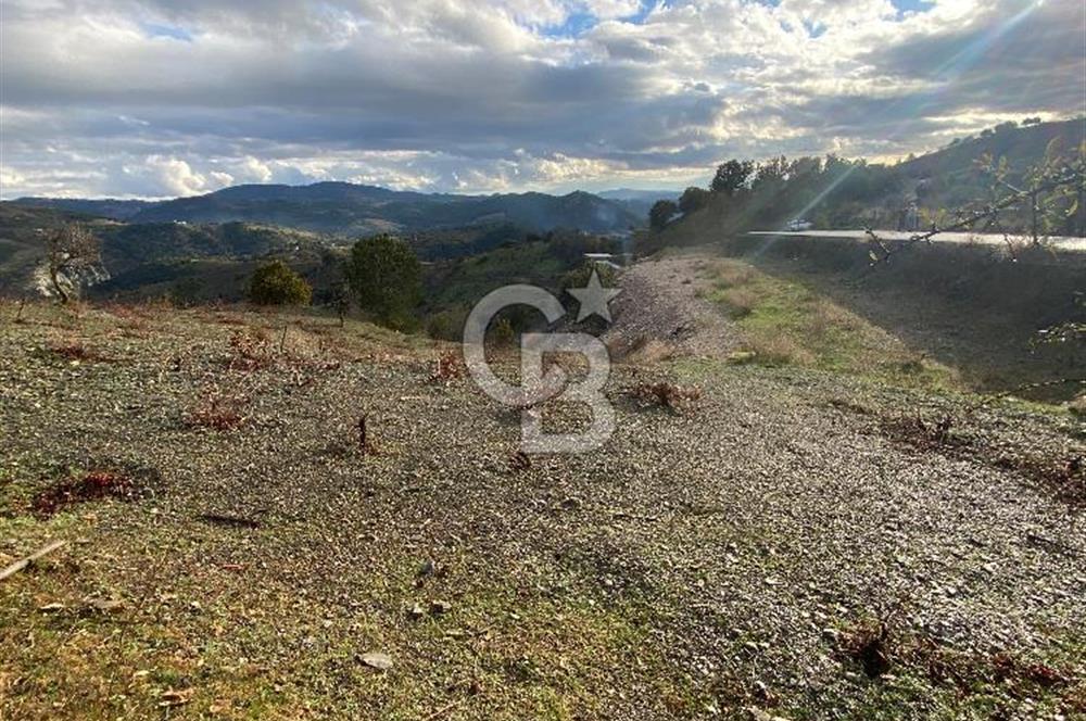 Kavacikta Yol Cephe Emsalsiz Tarla