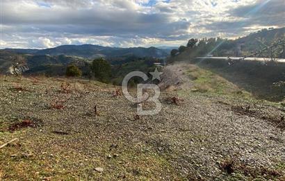 Kavacikta Yol Cephe Emsalsiz Tarla