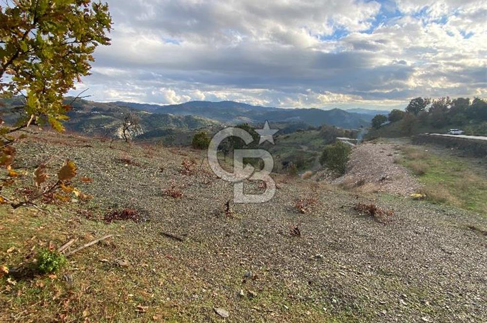 Kavacikta Yol Cephe Emsalsiz Tarla