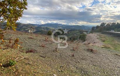 Kavacikta Yol Cephe Emsalsiz Tarla