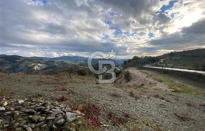 Kavacikta Yol Cephe Emsalsiz Tarla