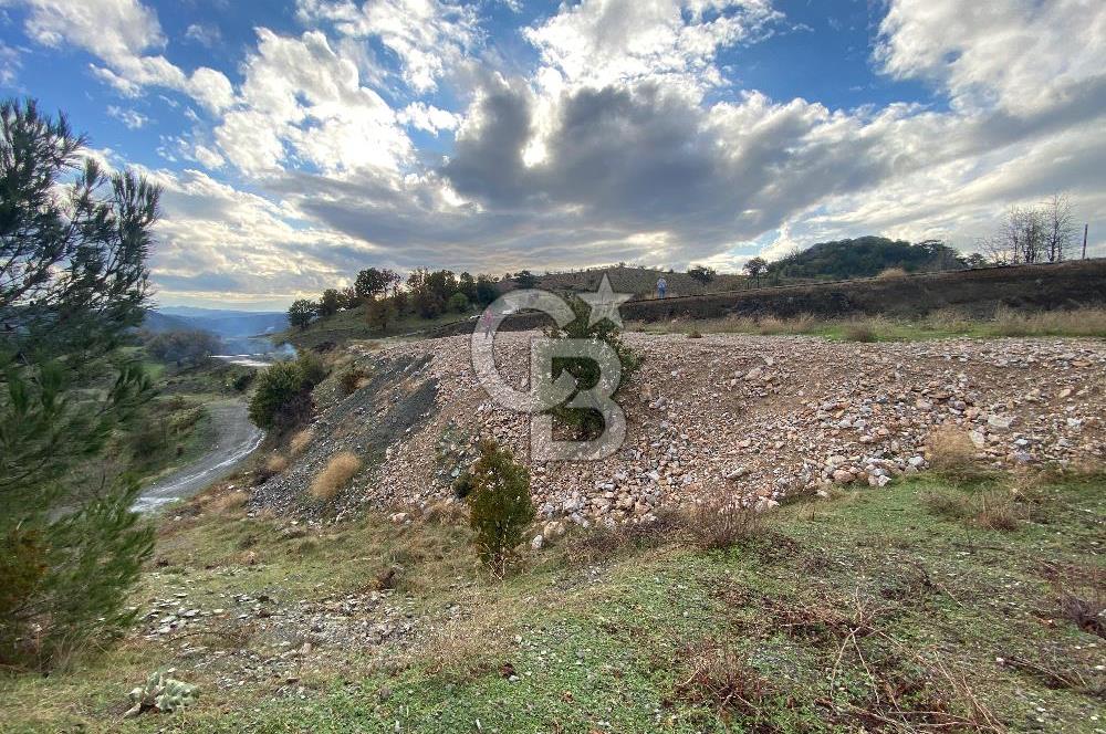 Kavacikta Yol Cephe Emsalsiz Tarla