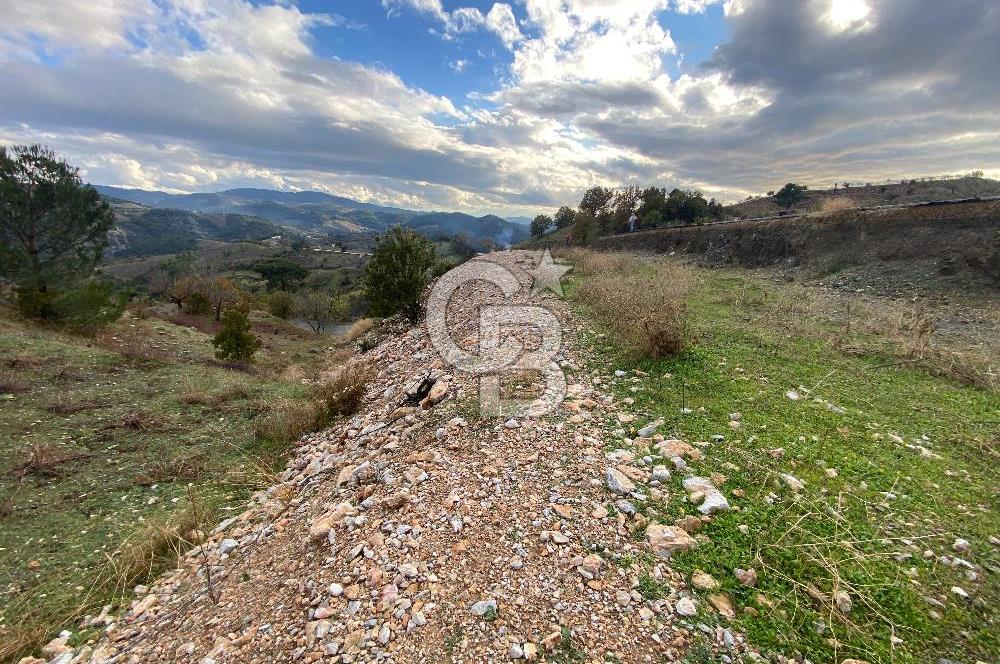 Kavacikta Yol Cephe Emsalsiz Tarla