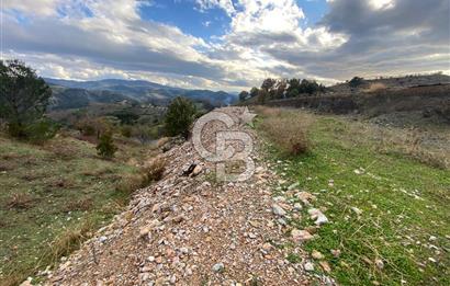 Kavacikta Yol Cephe Emsalsiz Tarla