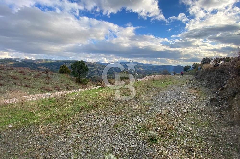 Kavacikta Yol Cephe Emsalsiz Tarla