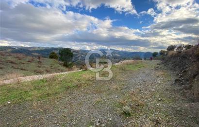 Kavacikta Yol Cephe Emsalsiz Tarla