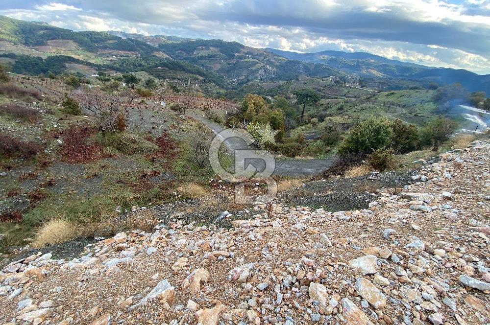 Kavacikta Yol Cephe Emsalsiz Tarla