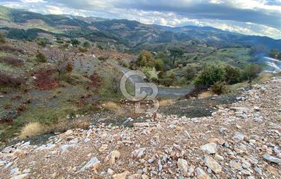 Kavacikta Yol Cephe Emsalsiz Tarla