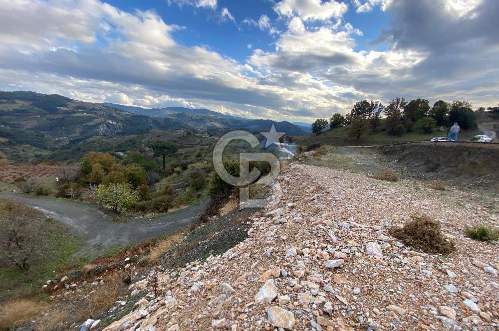 Kavacikta Yol Cephe Emsalsiz Tarla