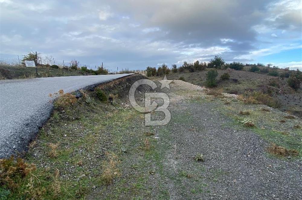 Kavacikta Yol Cephe Emsalsiz Tarla