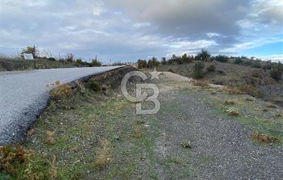 Kavacikta Yol Cephe Emsalsiz Tarla