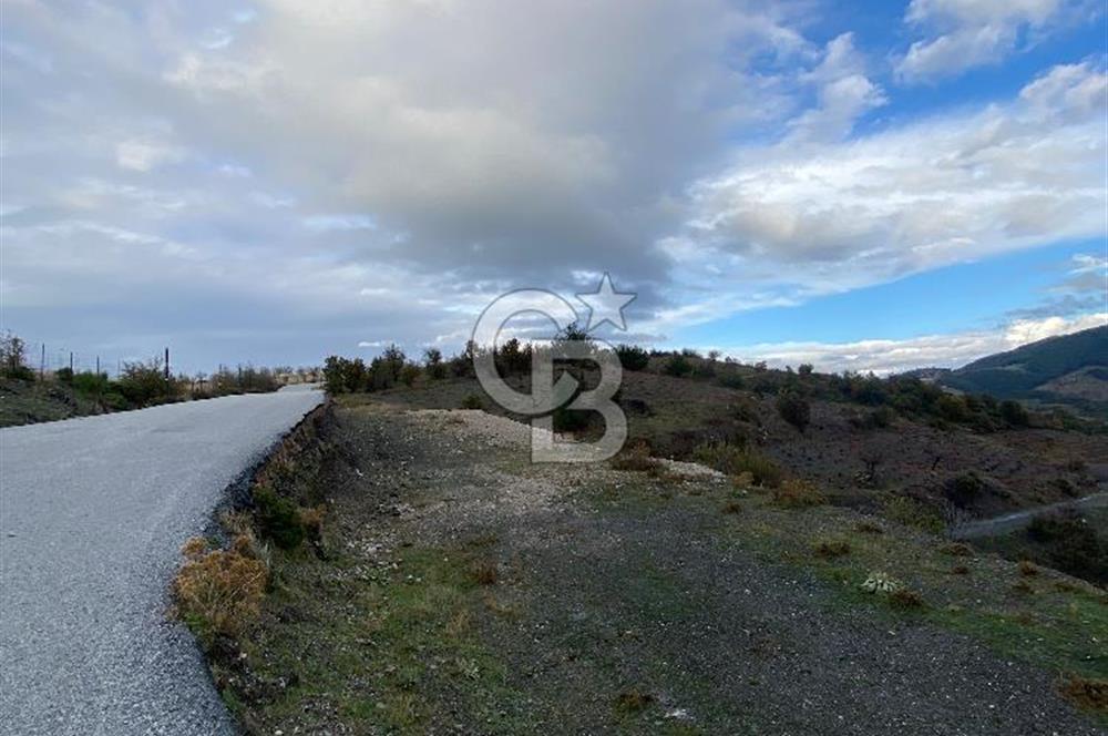 Kavacikta Yol Cephe Emsalsiz Tarla