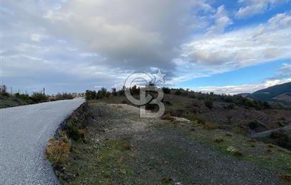 Kavacikta Yol Cephe Emsalsiz Tarla