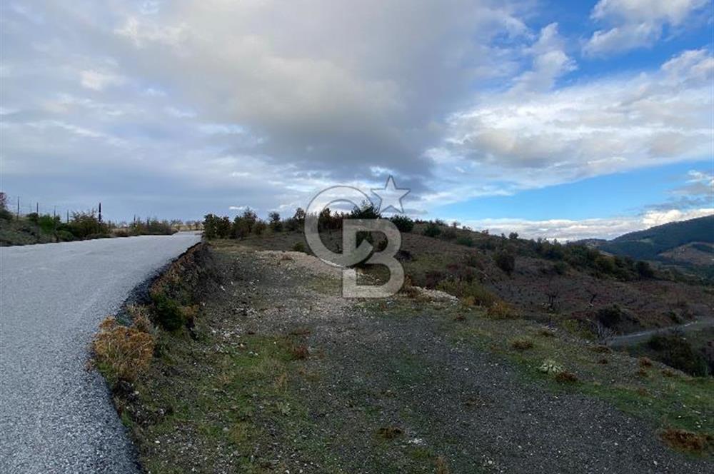 Kavacikta Yol Cephe Emsalsiz Tarla