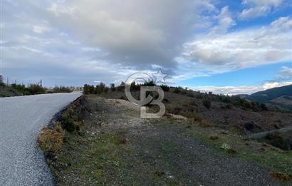 Kavacikta Yol Cephe Emsalsiz Tarla