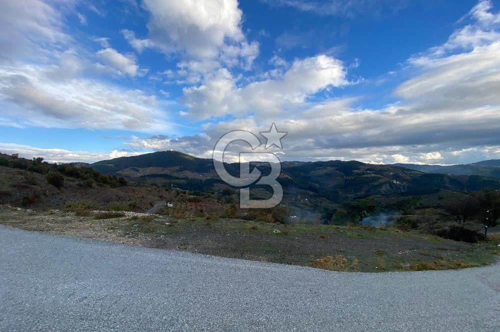 Kavacikta Yol Cephe Emsalsiz Tarla