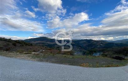 Kavacikta Yol Cephe Emsalsiz Tarla