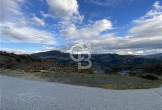 Kavacikta Yol Cephe Emsalsiz Tarla - 7 - 319044