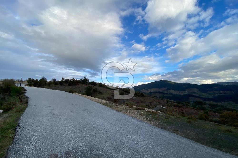 Kavacikta Yol Cephe Emsalsiz Tarla