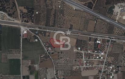 İzmir Torbalıda Satılık Tarla 