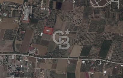 İzmir Torbalıda Satılık Tarla