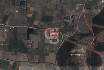 İzmir Torbalıda 37 dönüm satılık tarla - 3 - 319071