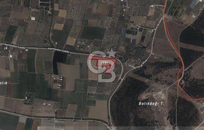 İzmir Torbalıda 37 dönüm satılık tarla