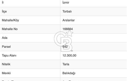 İzmir Torbalıda 37 dönüm satılık tarla