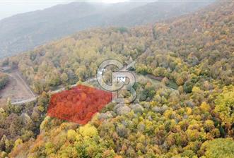 CB Envoy'dan Selimiye Mah. Dağın Eteklerinde Müstakil Dubleks - 2 - 319028