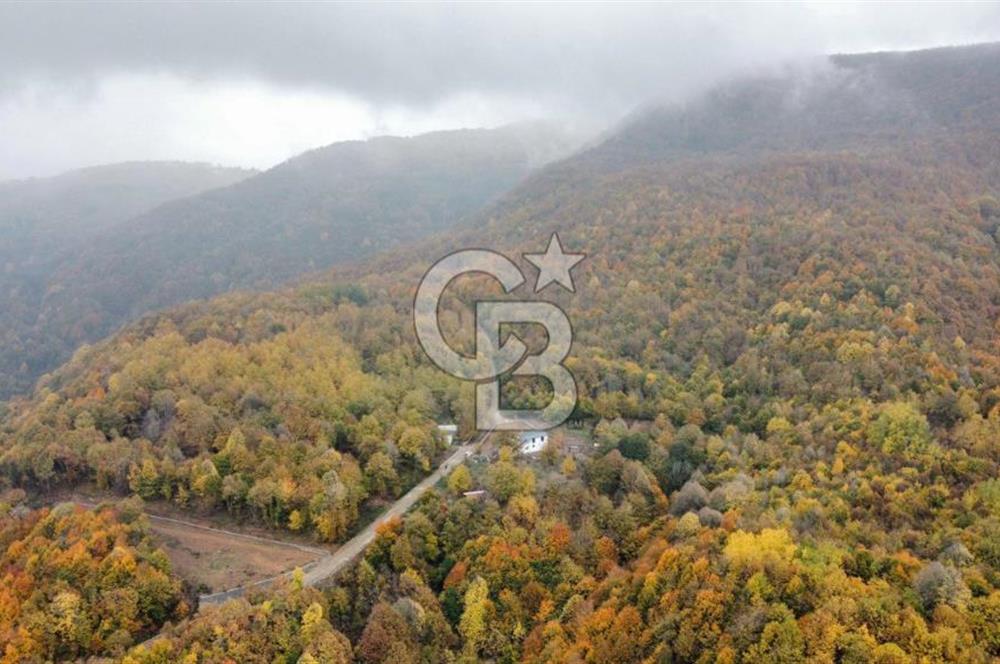 CB Envoy'dan Selimiye Mah. Dağın Eteklerinde Müstakil Dubleks