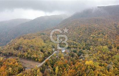 CB Envoy'dan Selimiye Mah. Dağın Eteklerinde Müstakil Dubleks